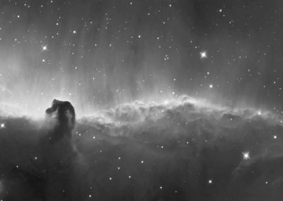 Panoramic Horse Head