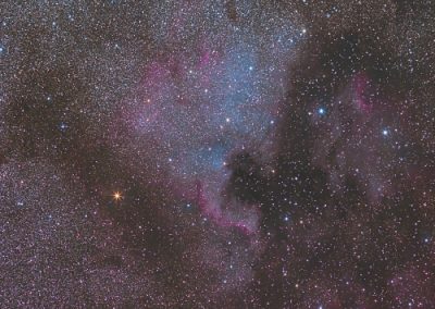 The North America Nebula in Cygnus