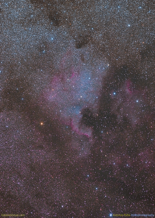 The North America Nebula in Cygnus